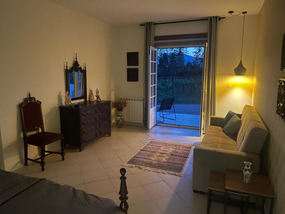 Quinta Da Paixao - Bed & Breakfast Pedraca Bagian luar foto