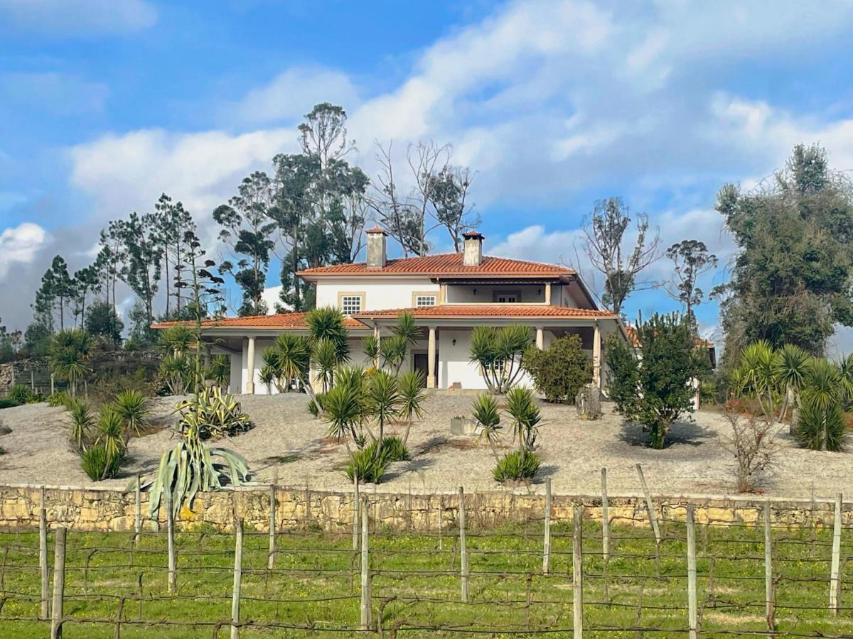 Quinta Da Paixao - Bed & Breakfast Pedraca Bagian luar foto